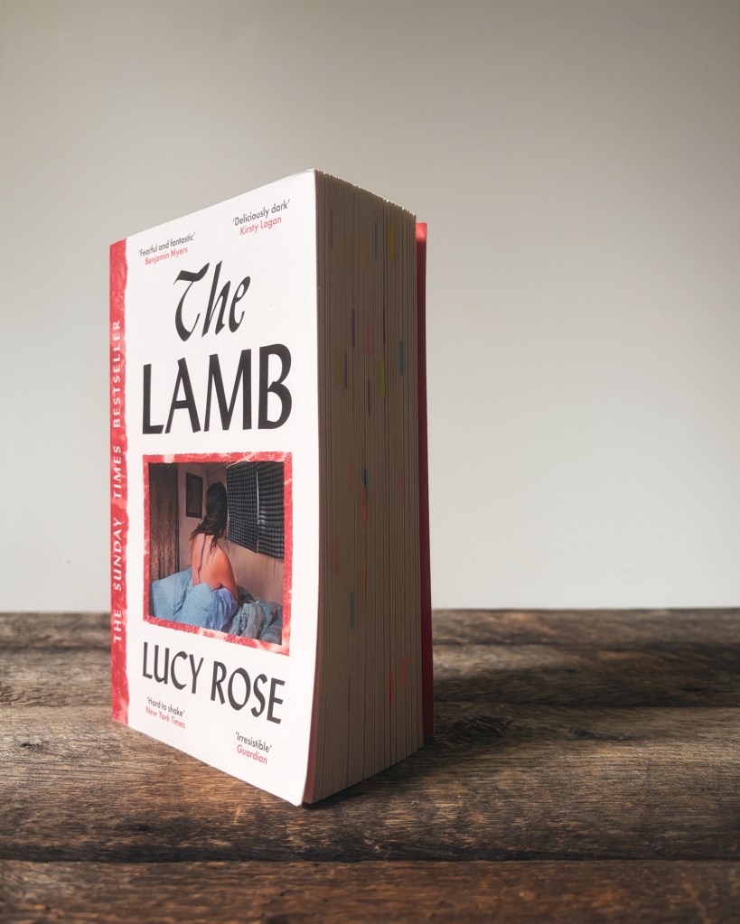 Photo of the book The Lamb by Lucy Rose